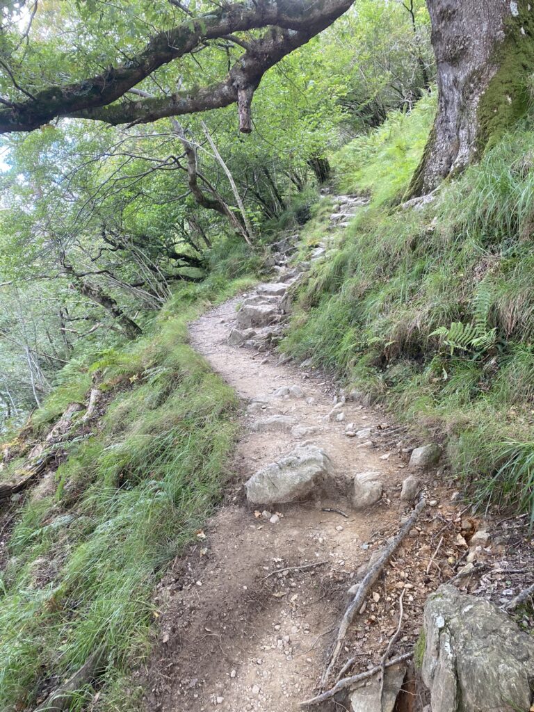 Section of stone path alongside Loch Lomond.